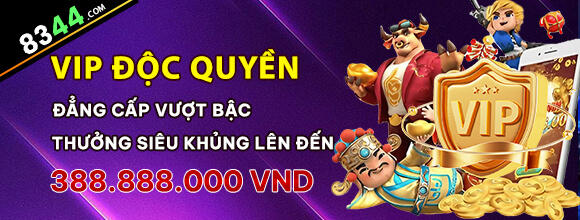 s8bet